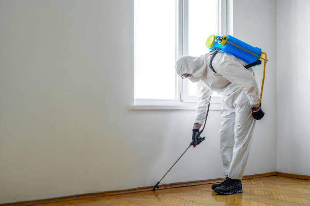 Best Flea Control Services  in Park View, IA