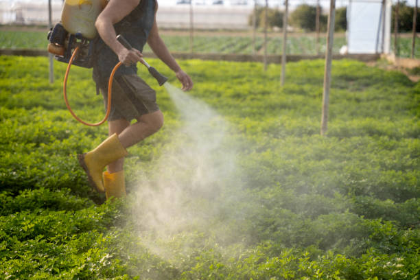 Best Pest Removal Services  in Park View, IA