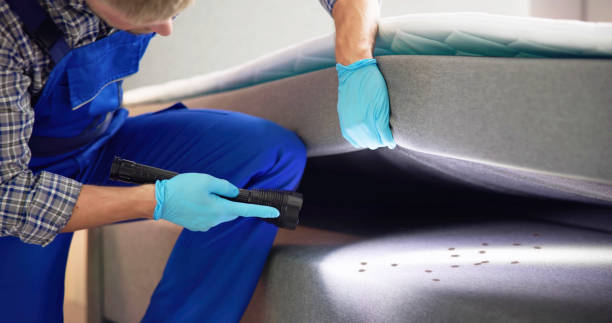 Professional Pest Control in Park View, IA
